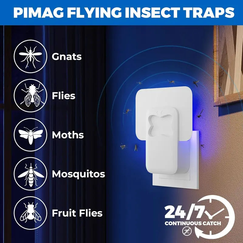 Ultimate Fruit Fly Trap