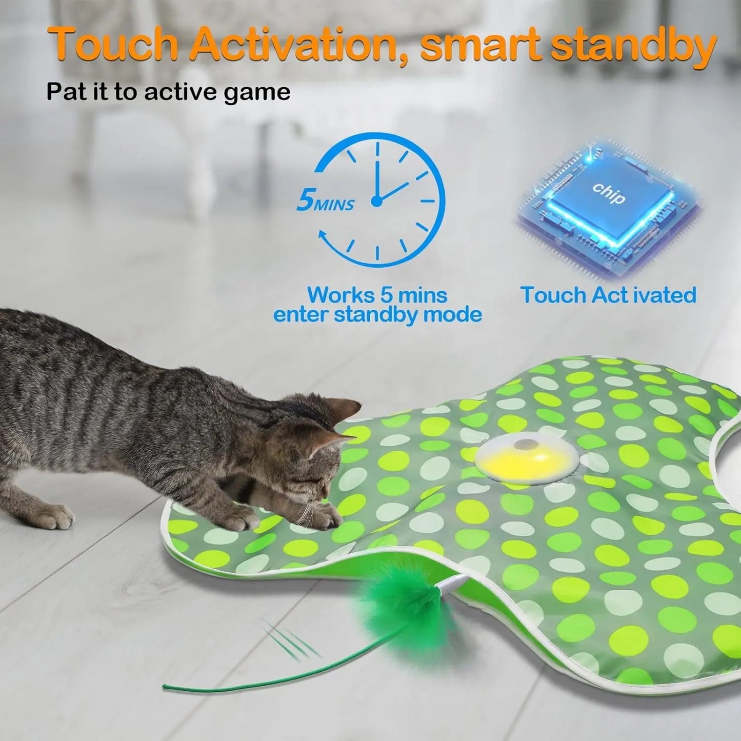 Hide & Seek Cat Toy