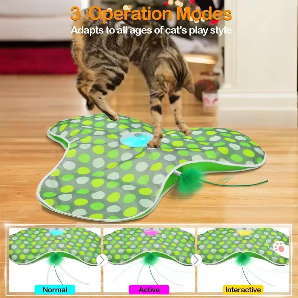 Hide & Seek Cat Toy