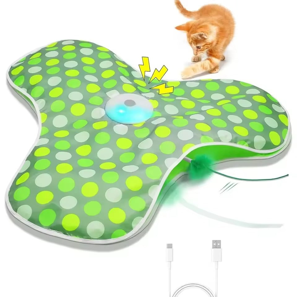 Hide & Seek Cat Toy