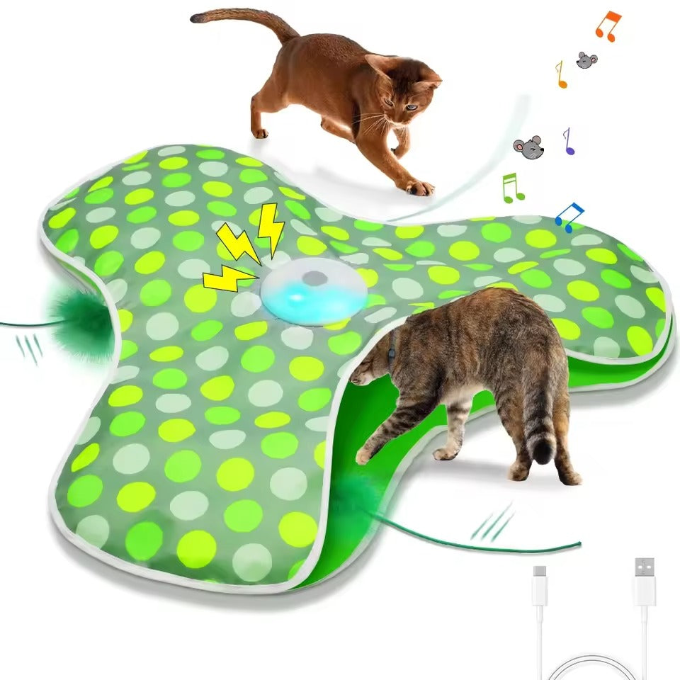 Hide & Seek Cat Toy