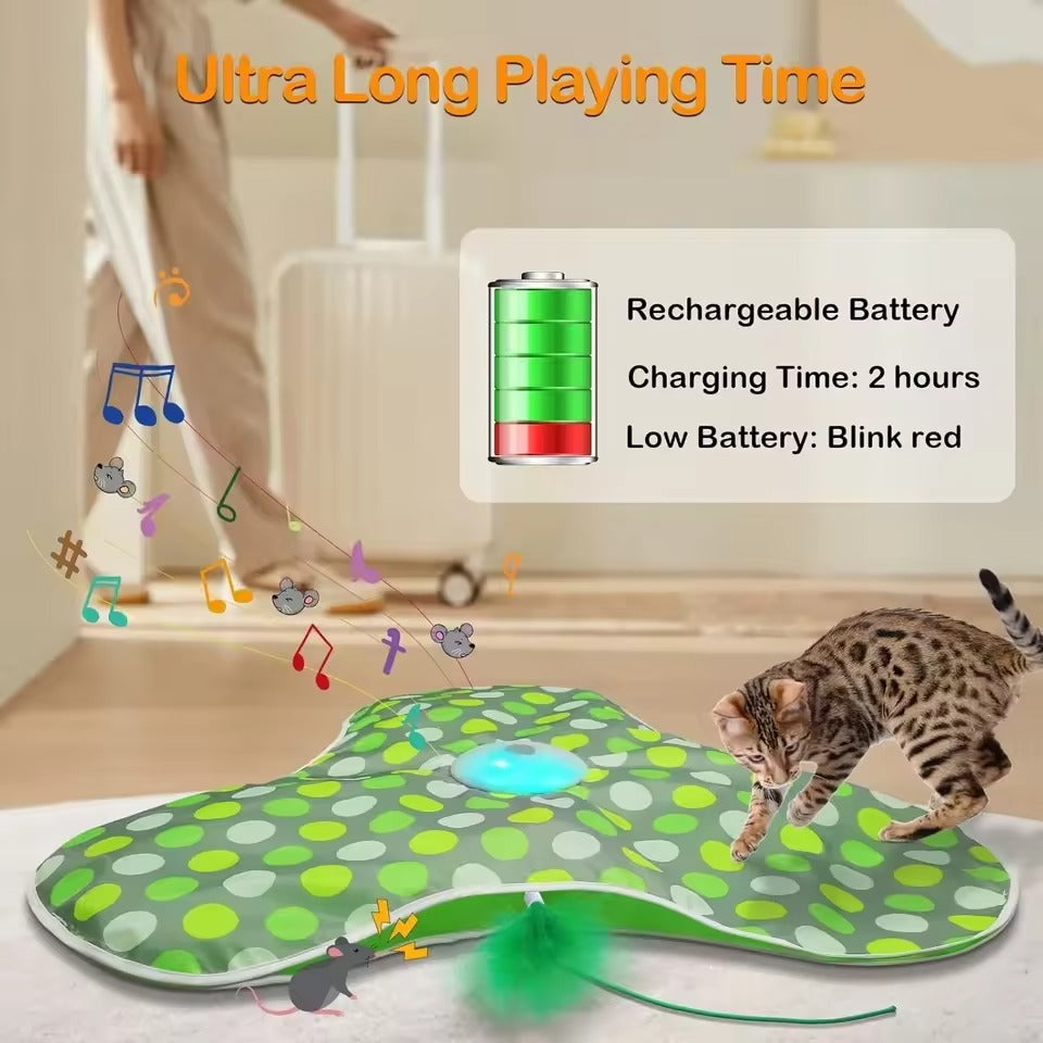 Hide & Seek Cat Toy