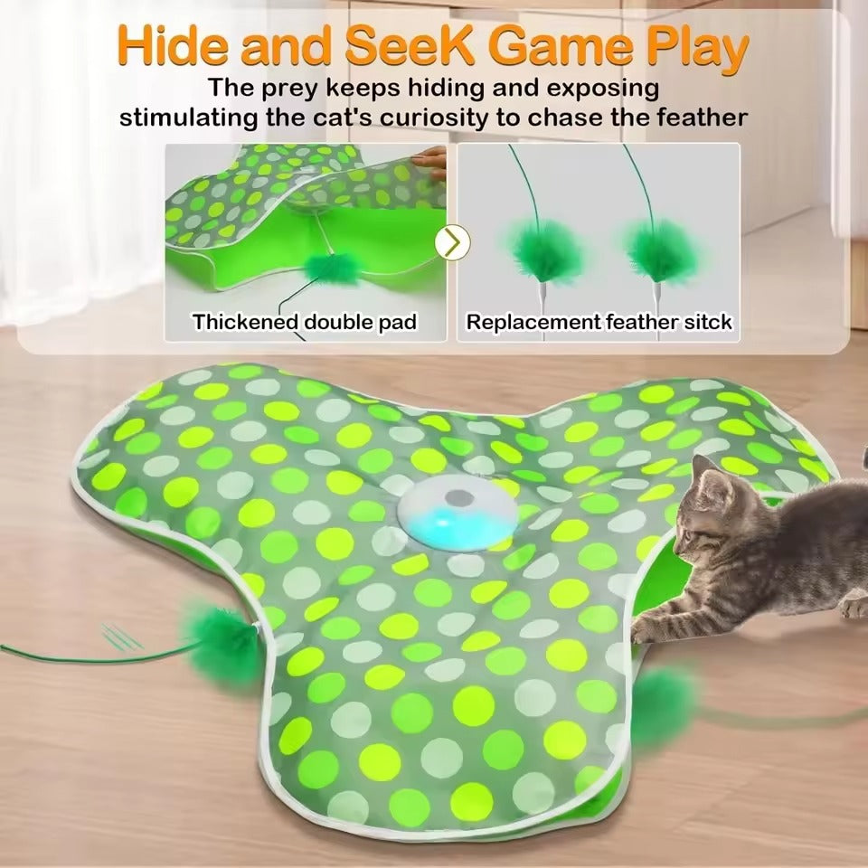 Hide & Seek Cat Toy