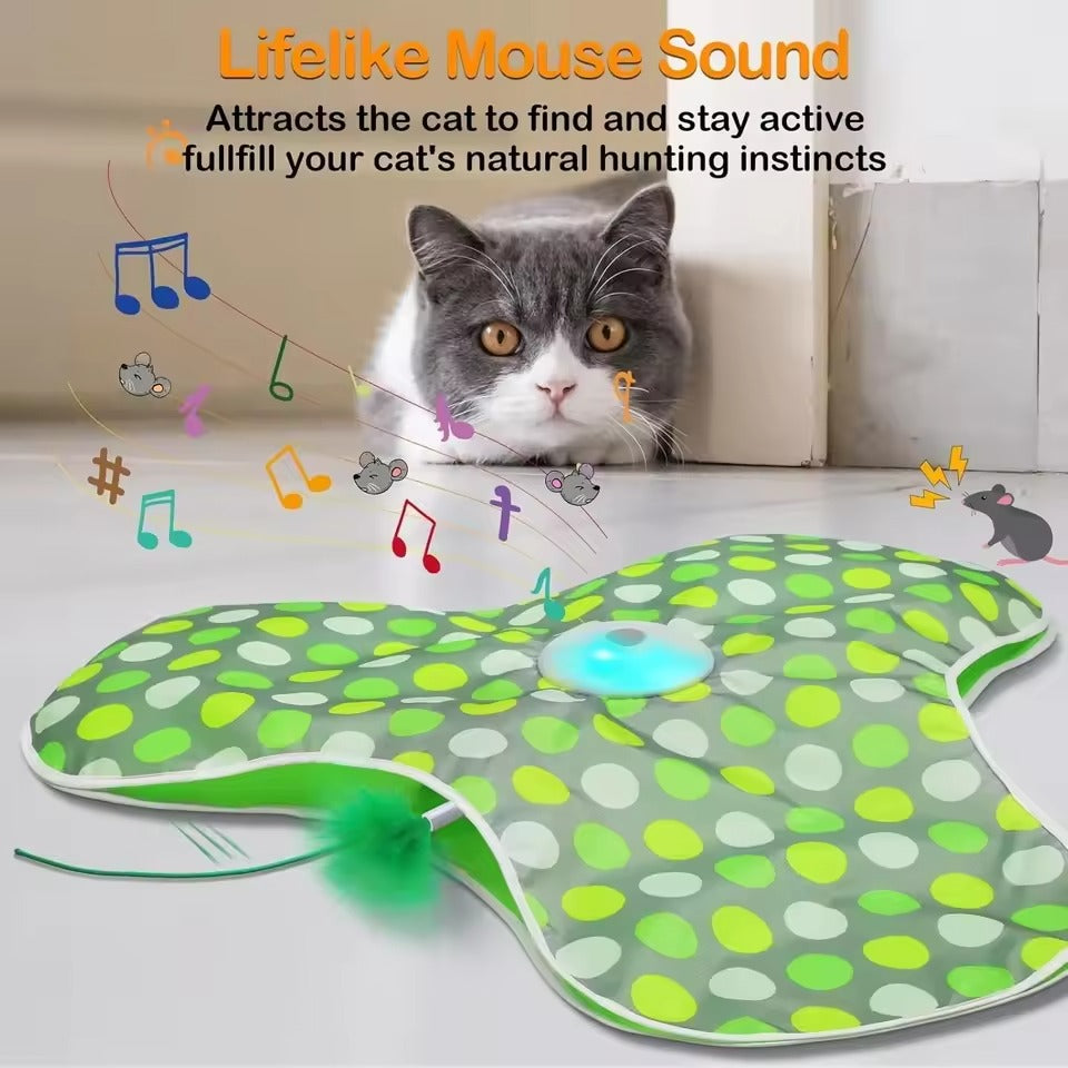 Hide & Seek Cat Toy