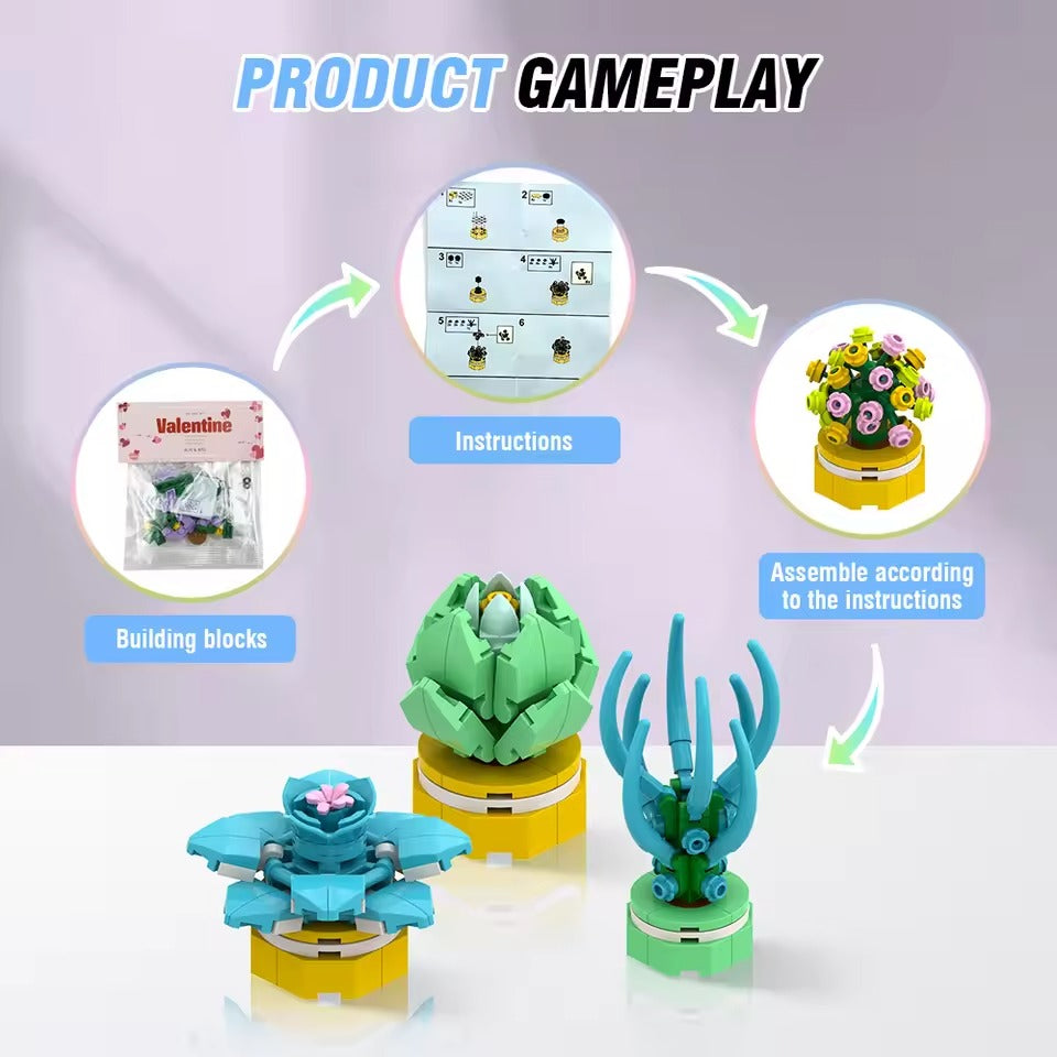 Succulent Building Blocks