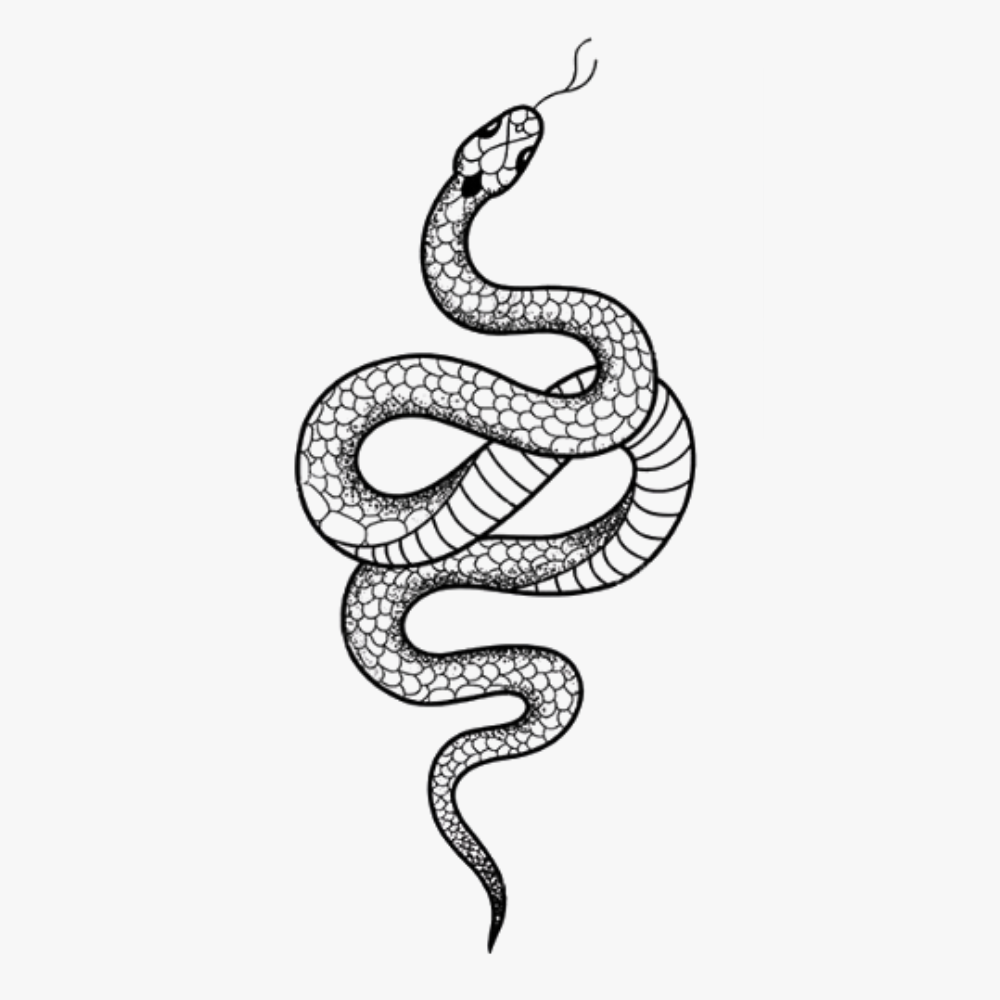 Ultra Realistic Temporary Tattoos - 76 Sheets